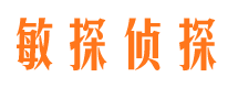 衡水捉小三公司